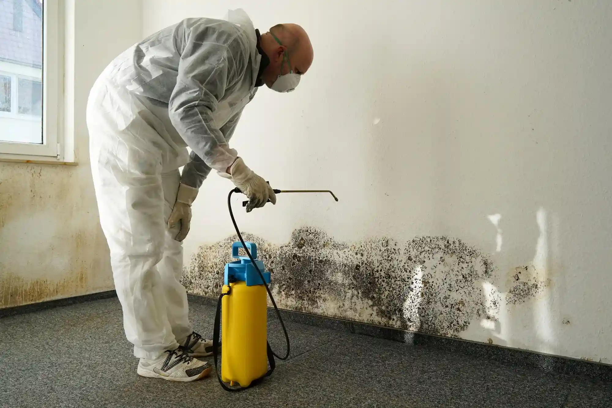 WDR PRO’s - Water Damage Restoration Service